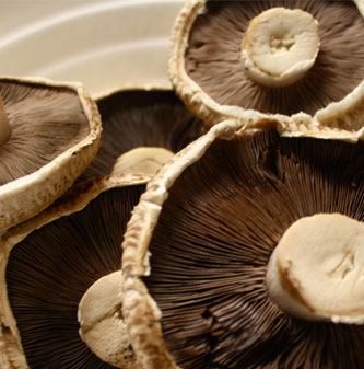Flat Mushroom Casings Available